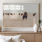 Bison Herd Wall Art Canvas Print, Framed Western Prairie Serenity
