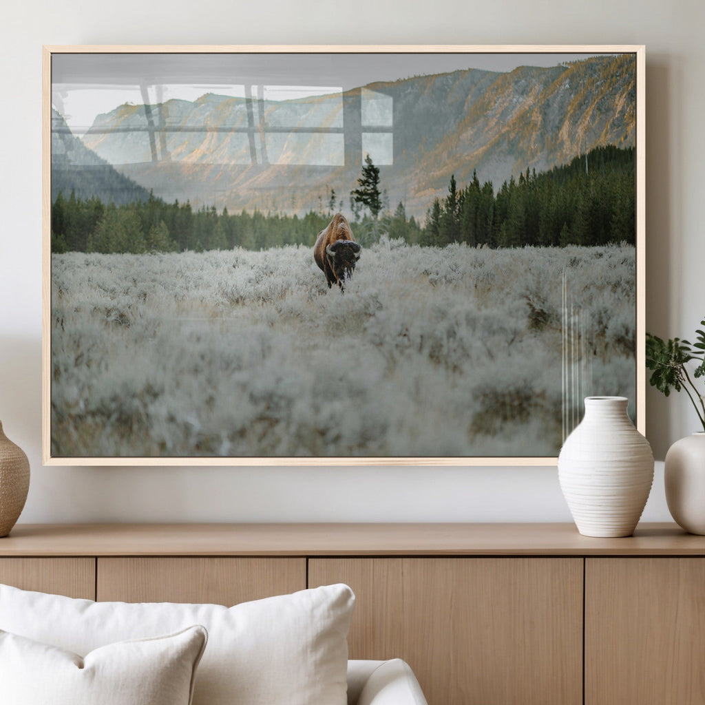 Wild Bison Wall Art Canvas Print, Majestic Mountain Pines and Misty Wilderness