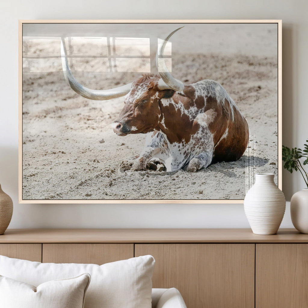 Majestic Longhorn Wall Art Canvas Print, Resting on Sunlit Desert Ground