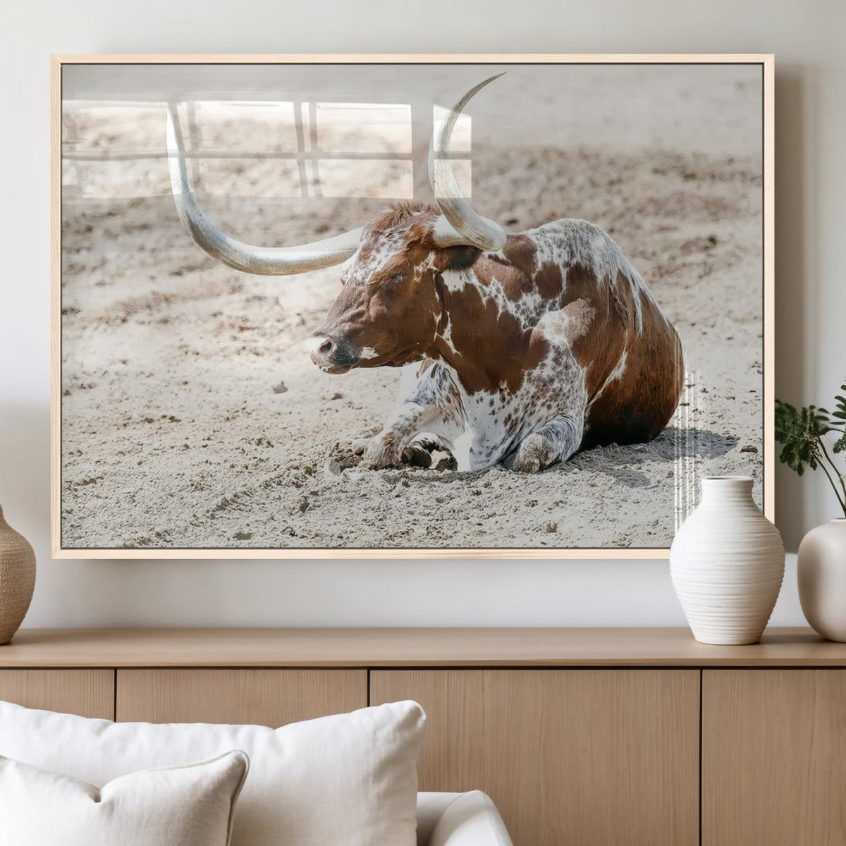 Majestic Longhorn Wall Art Canvas Print, Resting on Sunlit Desert Ground