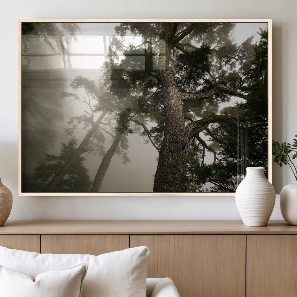Misty Forest Wall Art Canvas Print, Framed Tall Trees in Foggy Atmosphere