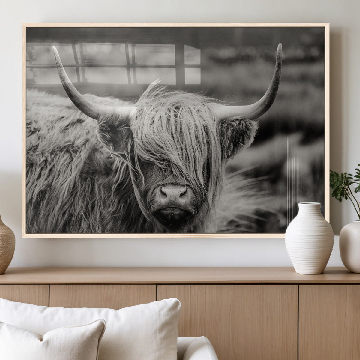 Cow Focus Canvas Wall Art Print