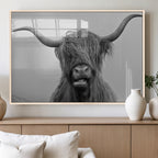 Texas Cow Wall Art Canvas, Texas Longhorn Cattle Canvas Print