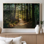 Natural Landscape Wall Art Relaxing Forest Canvas Print