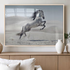 Prancing Horse Desert Large Wall Art Canvas Print, Majestic Horse Animal Artwork