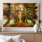 Sunshine in Forest and Trees Wall Art Canvas Print