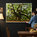 Angel Oak Tree Wall Art Canvas Print | Forest Tree Nature Photography Print