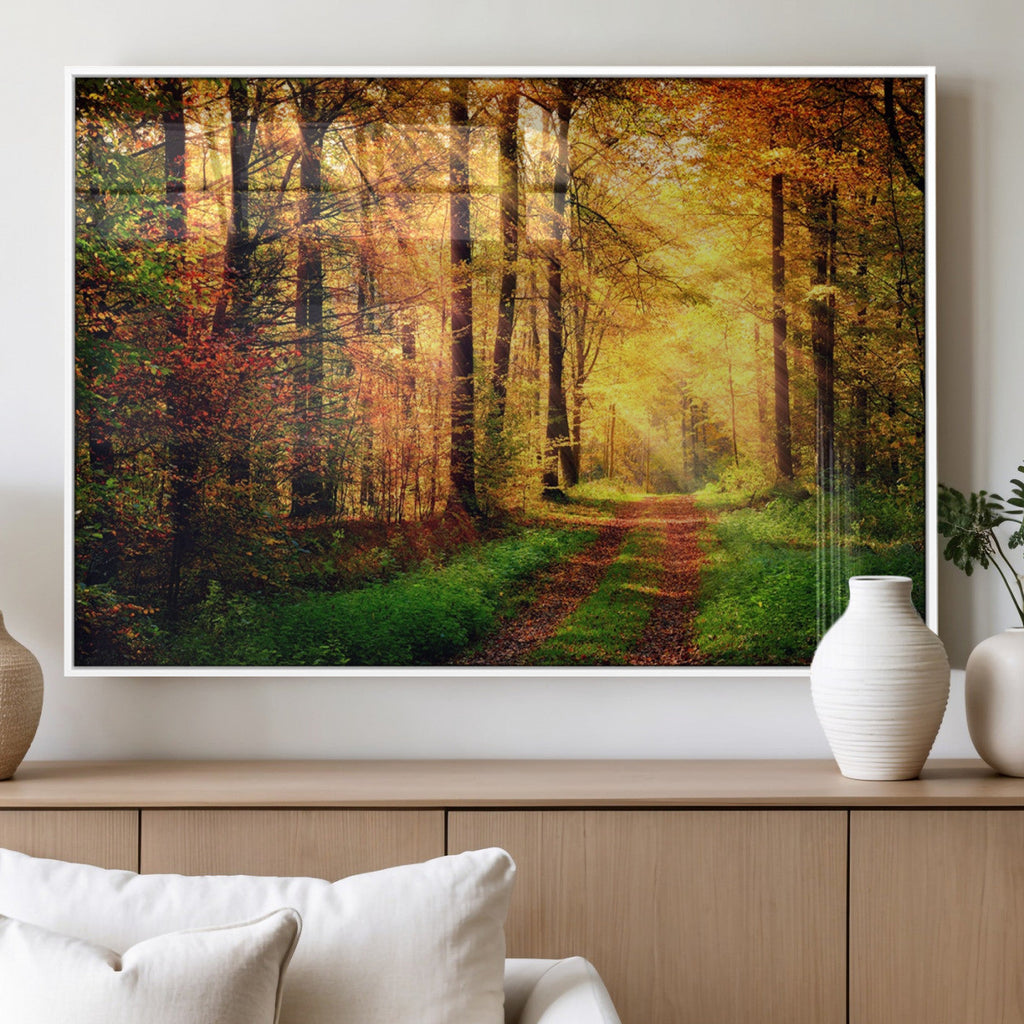 Sunlight Through Trees Wall Art Canvas Print | Autumn Forest Wall Art