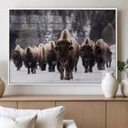 Bison Wall Art Canvas Print, Bison Herd Canvas Wall Art