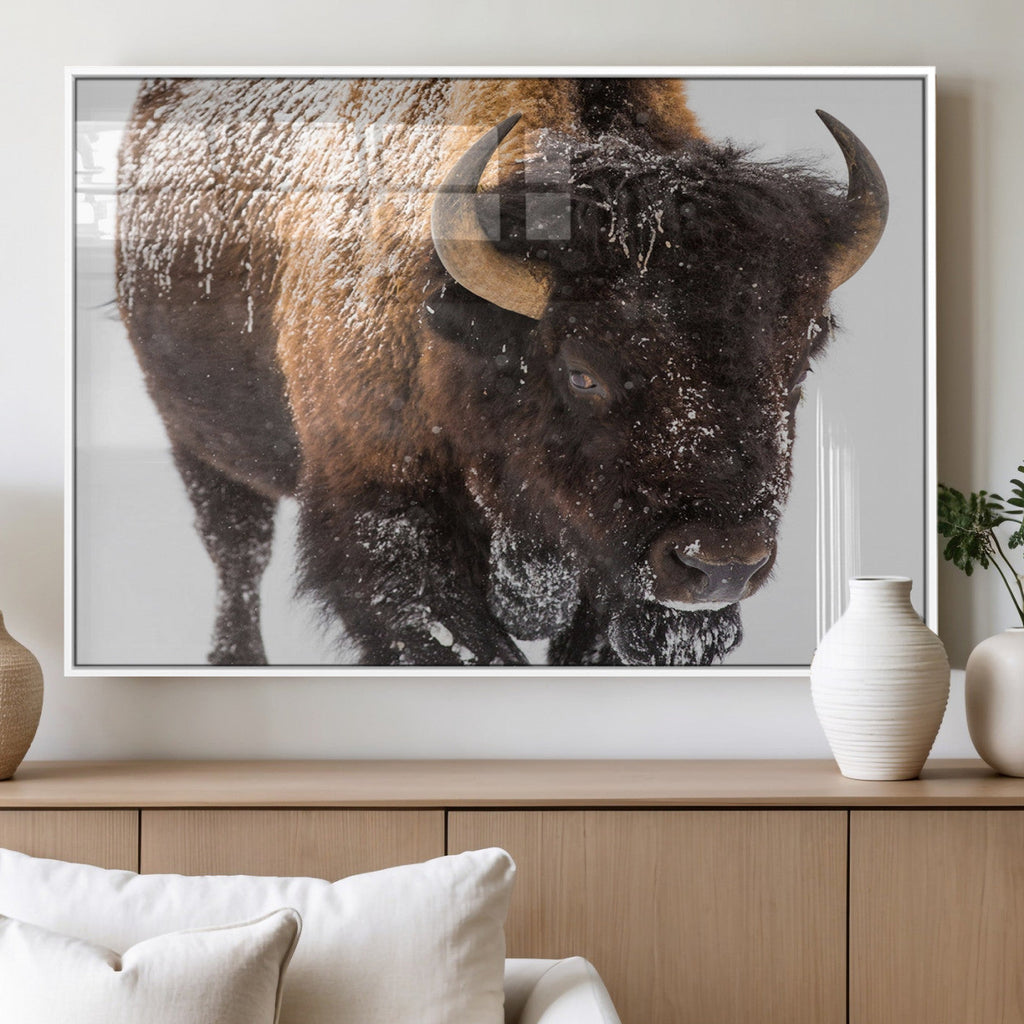 Bison Wall Art Canvas Print For Farmhouse, Wild Animal Wall Art