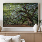 Historic Tree Wall Art | Framed Mossy Branch Canvas Artwork