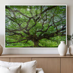 Ancient Tree Wall Art Canvas Print, Framed Sprawling Branches