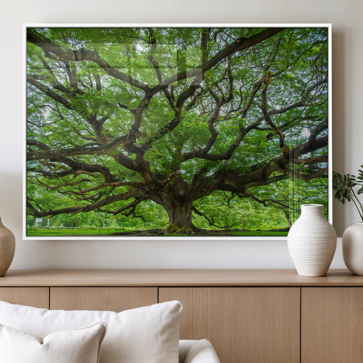 Ancient Tree Wall Art Canvas Print, Framed Sprawling Branches
