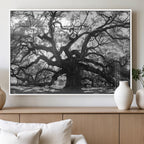 Ancient Oak Wall Art Canvas Print | Gnarled Tree with Twisted Branches
