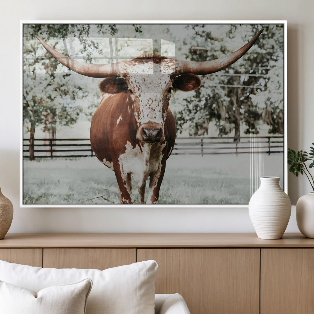Texas Longhorn Wall Art Canvas Print | Framed Spotted Brown and White Bull