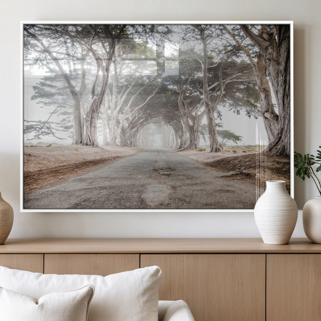Cypress Tunnel Wall Art | Framed Misty Road Canvas Artwork