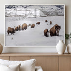 Bison Herd Wall Art Canvas Print, Framed Western Wildlife Decor, Snowy Mountain Valley
