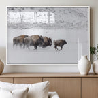 Bison Herd Wall Art Canvas Print, Framed Snowy Bison Scene, Winter Wildlife Decor