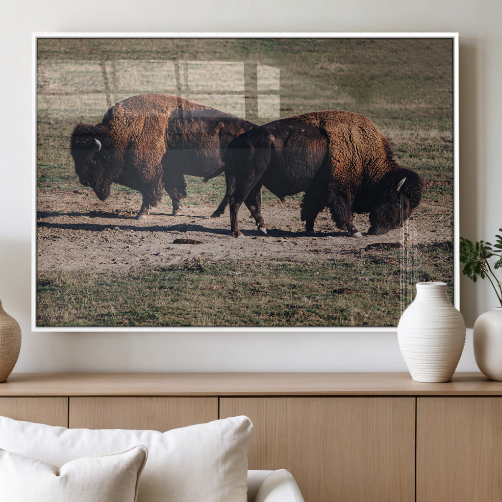 Bison Wall Art Canvas Print, Framed Western Wildlife Modern Ranch