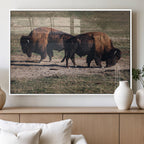 Bison Wall Art Canvas Print, Framed Western Wildlife Modern Ranch