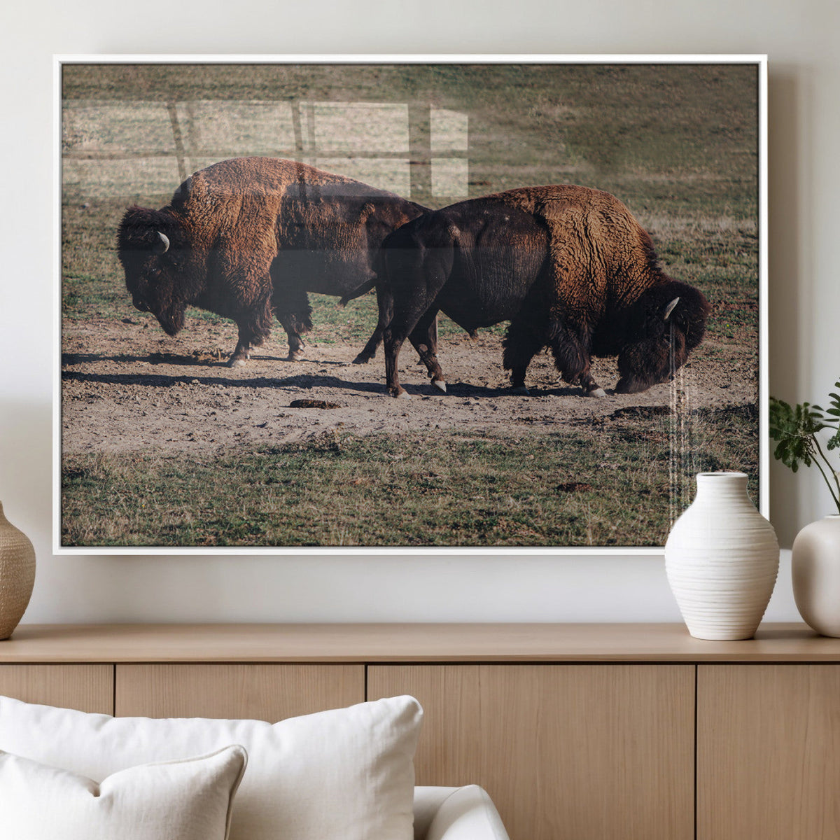 Bison Wall Art Canvas Print, Framed Western Wildlife Modern Ranch