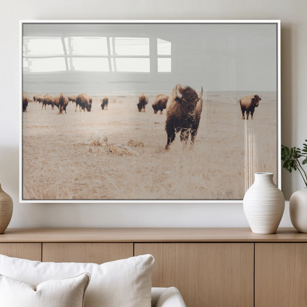 Bison Herd Wall Art Canvas Print, Framed Western Prairie Serenity