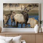Wild Elk Wall Art Canvas Print, Framed Neutral Wildlife Scene