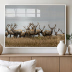 Elk Herd Wall Art Canvas Print, Framed Wildlife Photography Art, Majestic Antlers Rustic Wildlife Decor