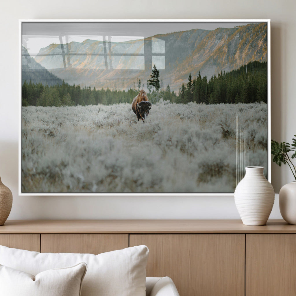 Wild Bison Wall Art Canvas Print, Majestic Mountain Pines and Misty Wilderness