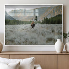 Wild Bison Wall Art Canvas Print, Majestic Mountain Pines and Misty Wilderness