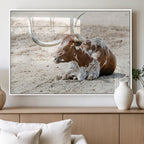 Majestic Longhorn Wall Art Canvas Print, Resting on Sunlit Desert Ground