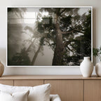 Misty Forest Wall Art Canvas Print, Framed Tall Trees in Foggy Atmosphere