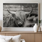 Cow Focus Canvas Wall Art Print