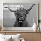 Texas Cow Wall Art Canvas, Texas Longhorn Cattle Canvas Print