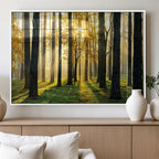 Sunlit Forest Wall Art Canvas Print, Large Framed Woodland Scene with Golden Light