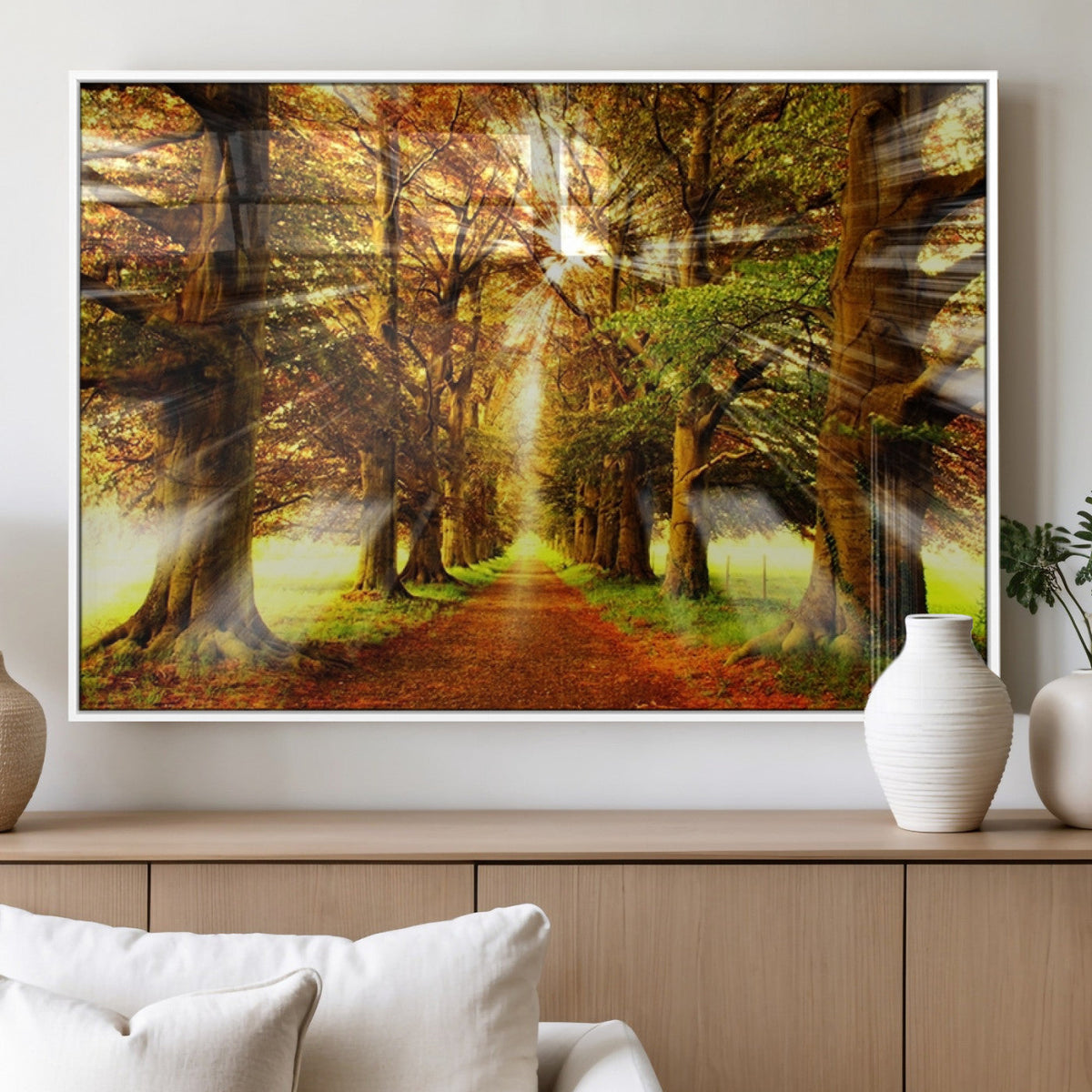 Sunshine in Forest and Trees Wall Art Canvas Print