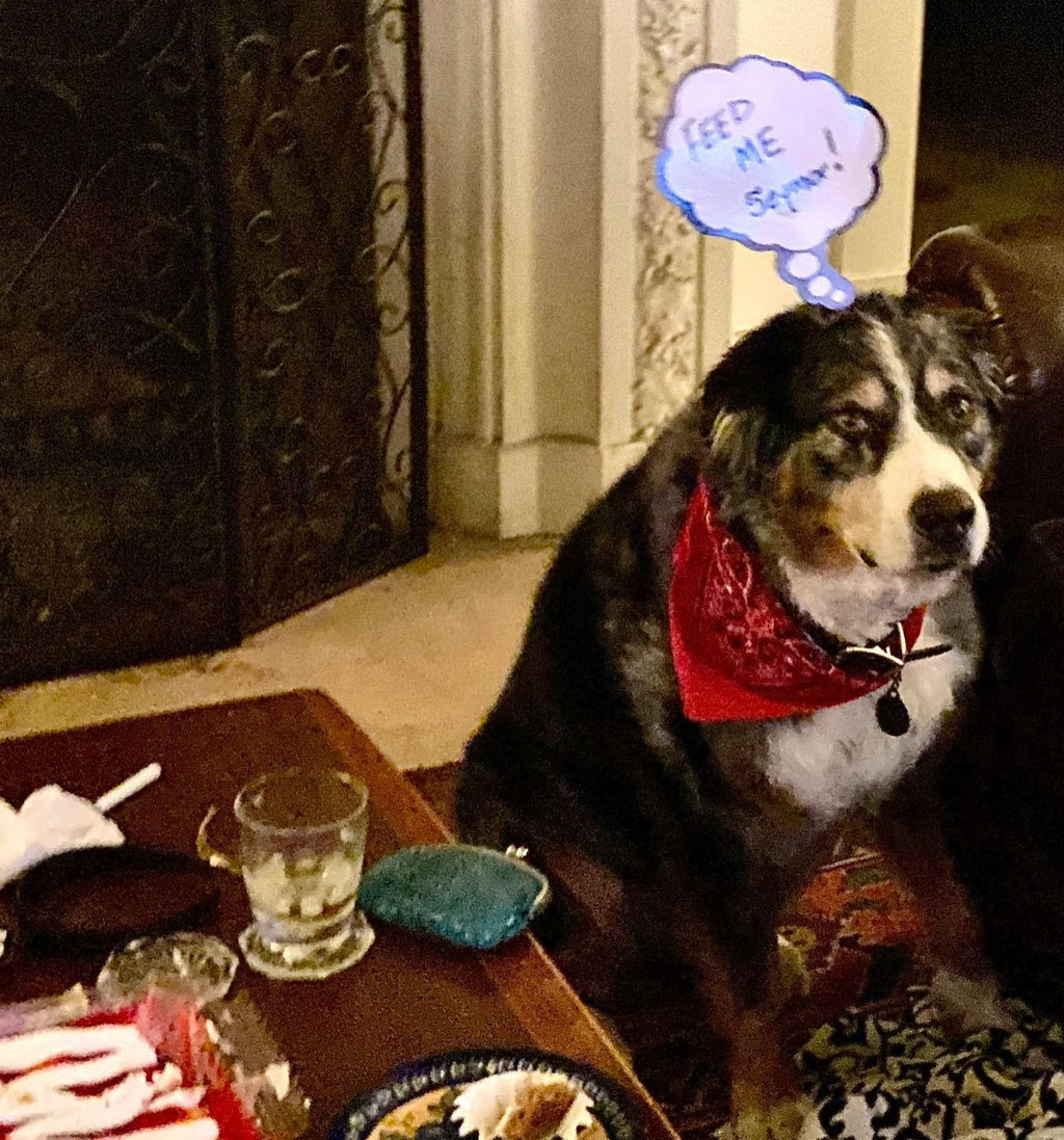 Bubble Thought Headband Dry Erase Board – Wearable Whiteboard for Costumes, Pranks & Laughs! 💭😂