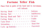 🐟 Fortune Teller Fish – Wholesale 1,440-Pack (Individually Wrapped)
