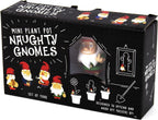 🌱 Mini Naughty Plant Pot Gnomes – 4-Pack of Hilarious Garden Mischief