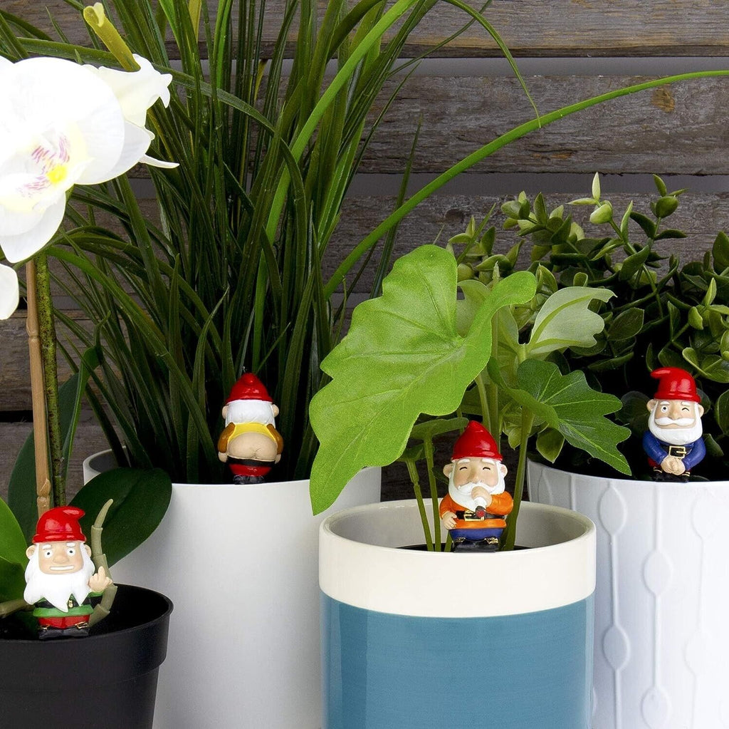 🌱 Mini Naughty Plant Pot Gnomes – 4-Pack of Hilarious Garden Mischief