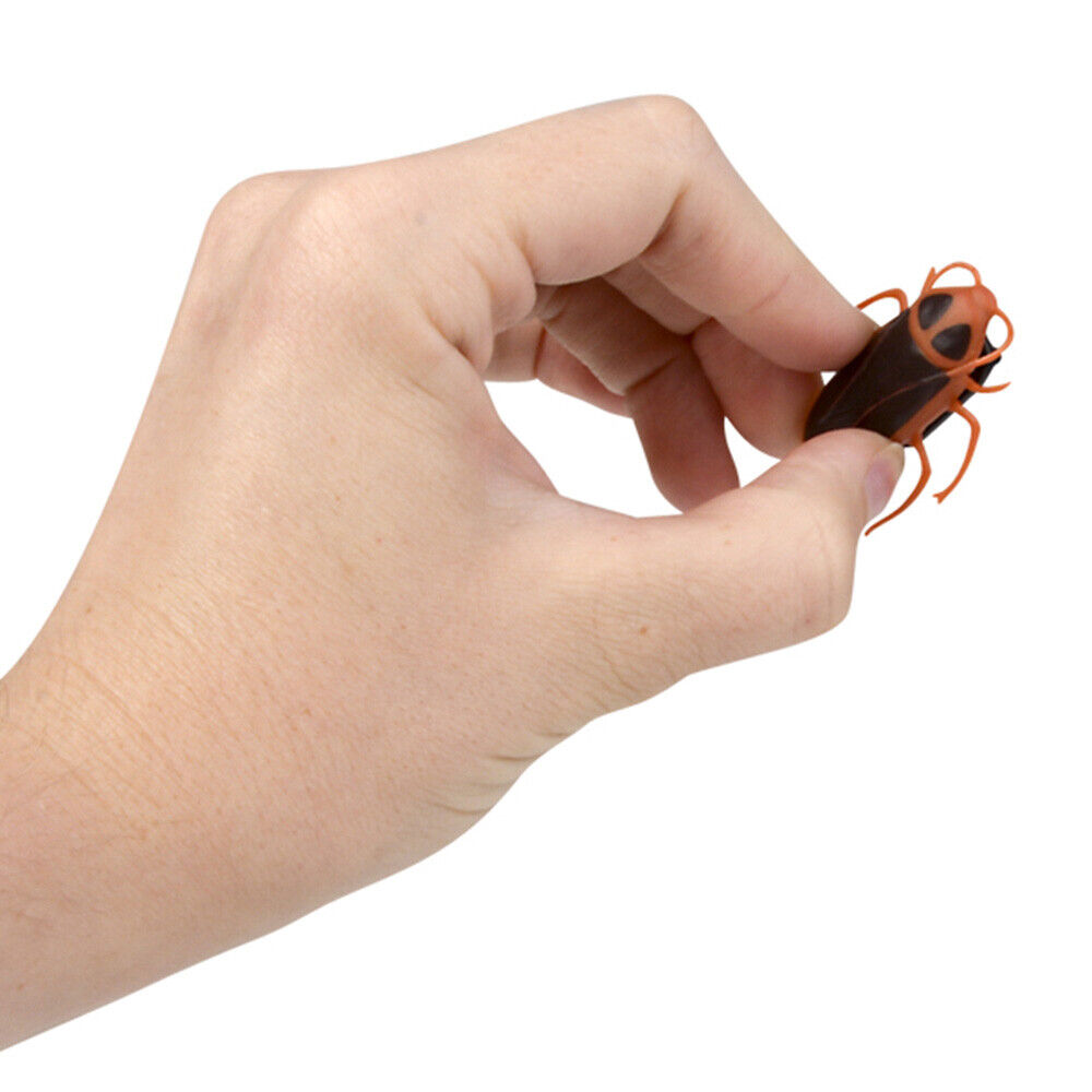 🪳 Creepy Crawler Cockroach Wall Prank