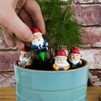 🪴 Mini Plant Pot Gnomes – 4-Pack of Garden Mischief!