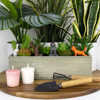 4-pk Mini Plant Pot Yoga Cat Statues - Cute Garden Planter Marker Decorations