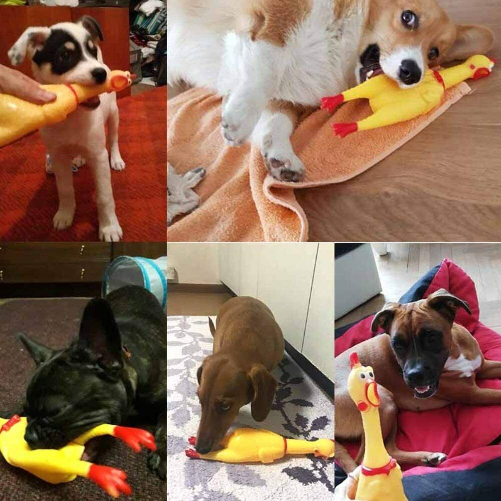 🐔 12" Squeaking Rubber Chicken – Classic Gag Toy & Dog Favorite!