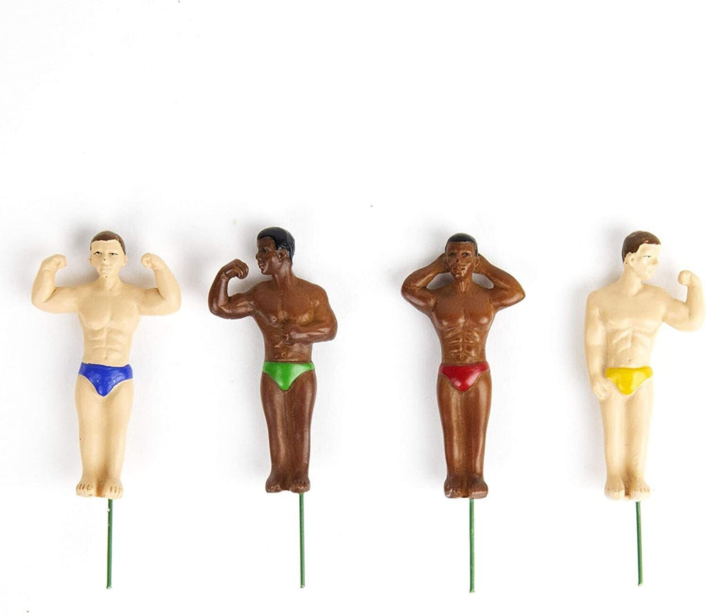 4-pk Mini Hunk Planter Statues - Sexy Muscles Garden Plant Pot Markers