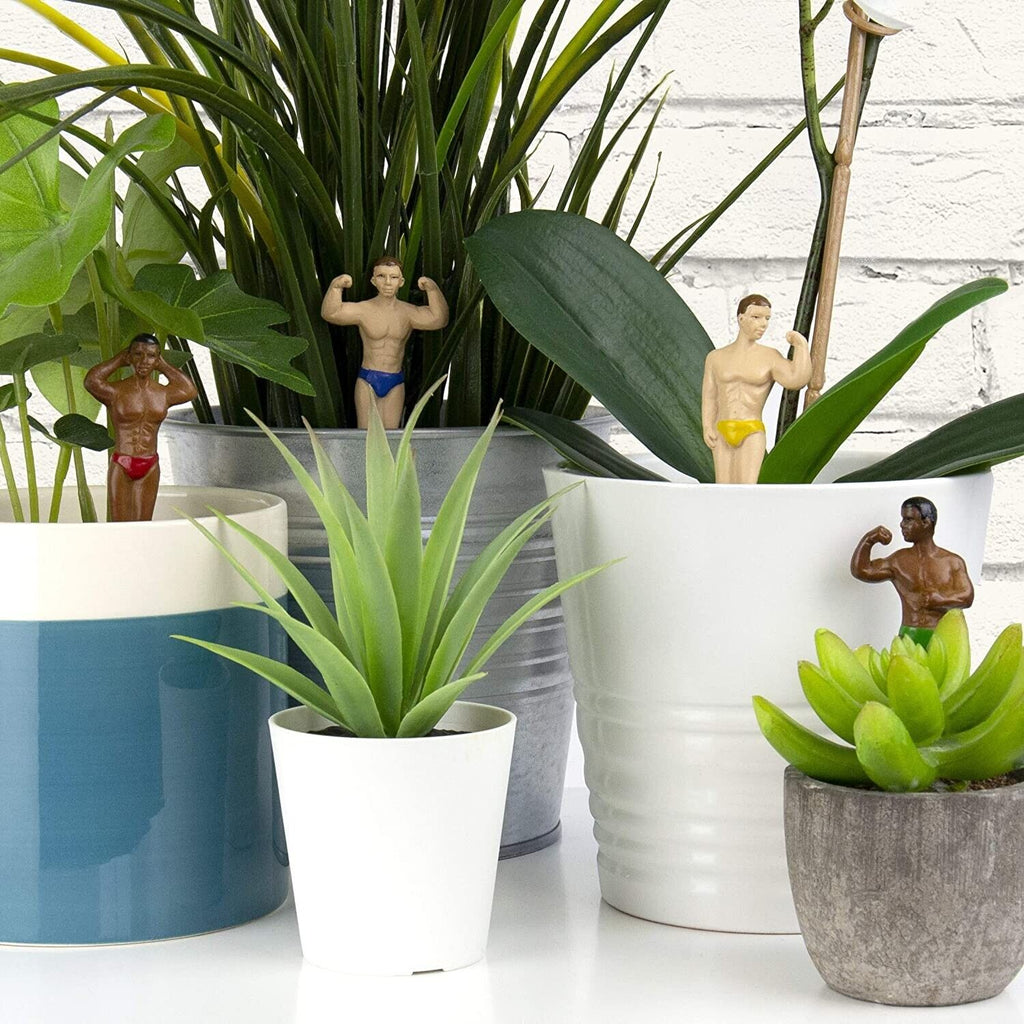 4-pk Mini Hunk Planter Statues - Sexy Muscles Garden Plant Pot Markers