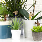 4-pk Mini Hunk Planter Statues - Sexy Muscles Garden Plant Pot Markers