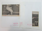 Lot of 10 George Brett Kansas City Royals 1980's-90's News Wire Photos 157377