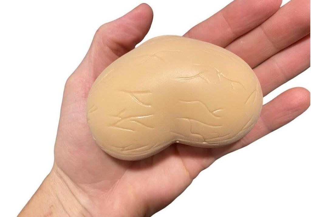 🥜 "Stress Balls" – Squeeze Those Crown Jewels!