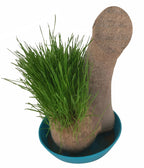 HAIRY BALLS - Grow Your Willy Pecker Chia Pet Plant - Adult Gag Prank Joke